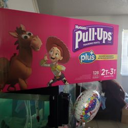 Brand new pulls girls 2T / 3T