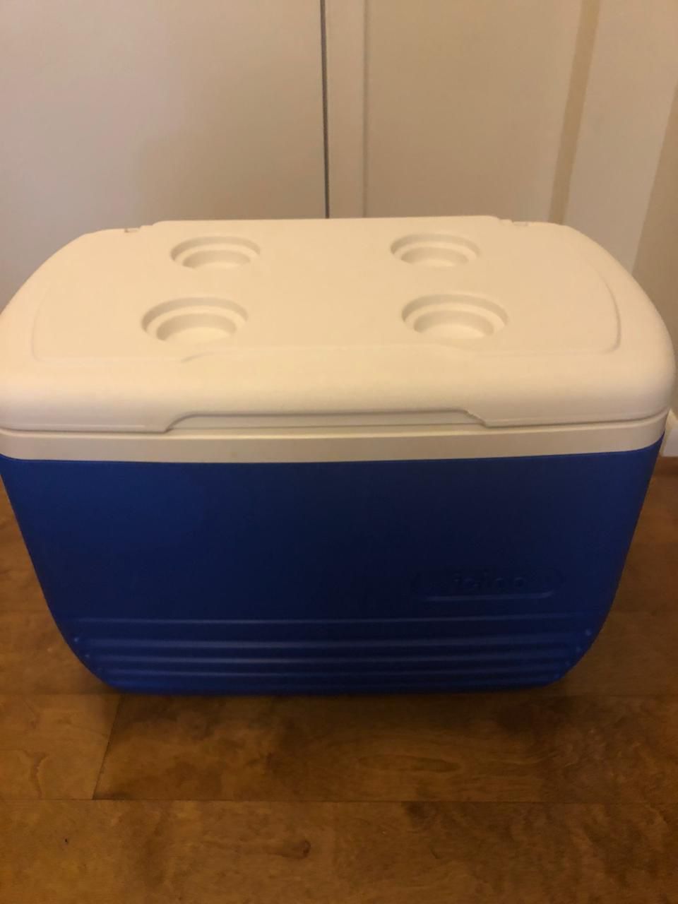 Igloo Cooler