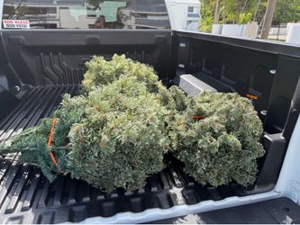 Used Artificial Xmas Tree