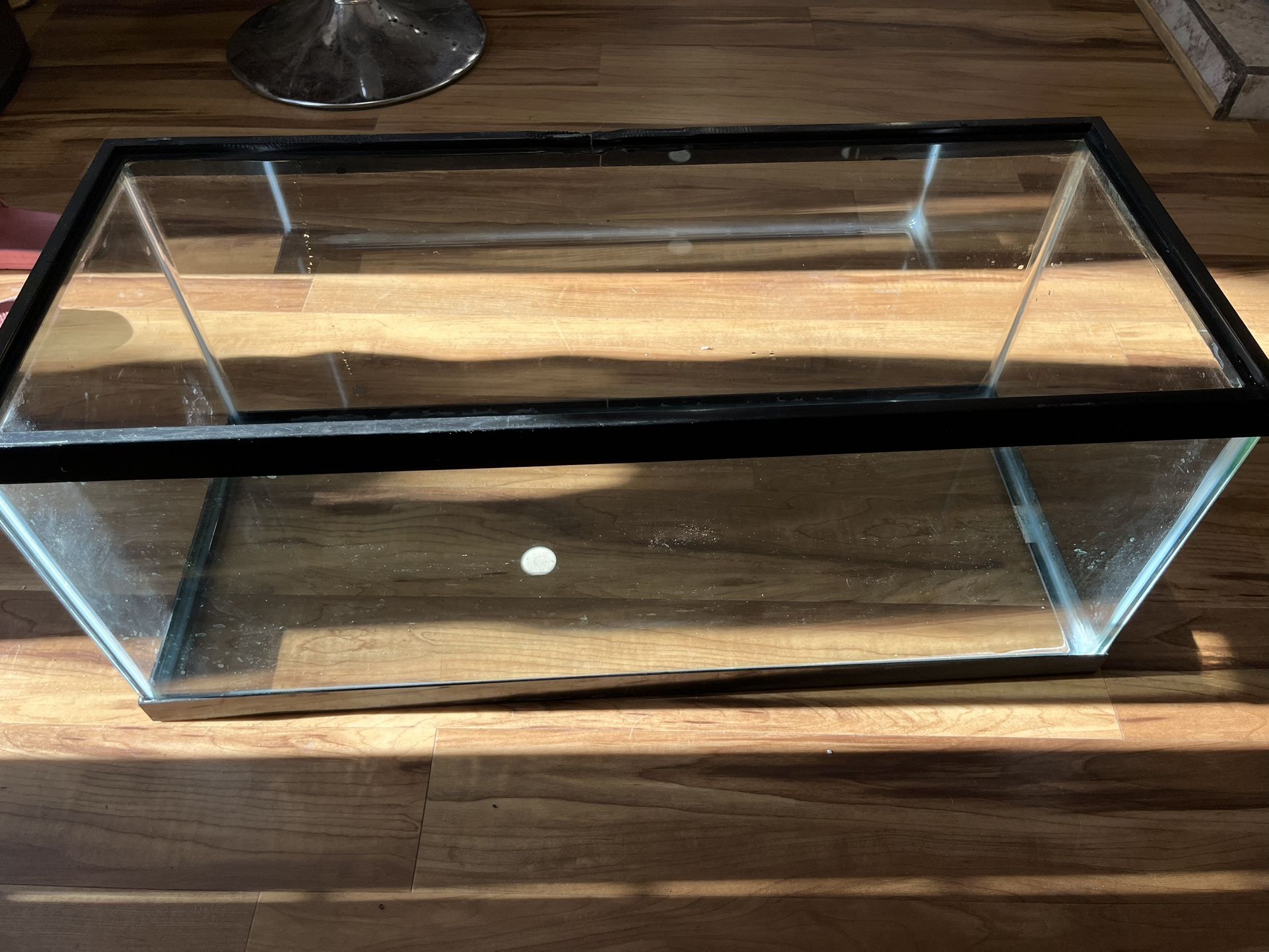 20 Gallon Fish Tank