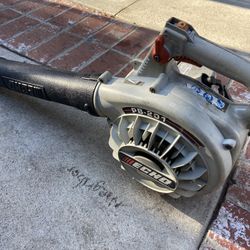 Echo Hand Blower 