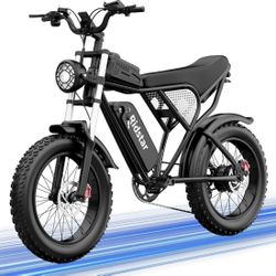 Ridstar electric bike Q20