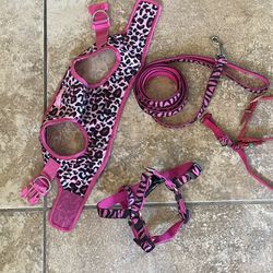 Small Dog Hot Pink And Black Harness Set
