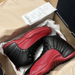 Jordan 12 Flu Game 9.5