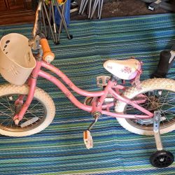 Trek Bike Small Child