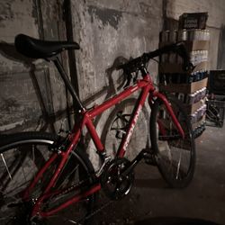 Red Line Roady 🌊🌊