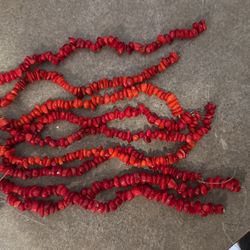 Coral Beads