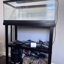 Aquarium Starter Kit