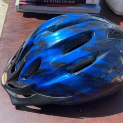 Schwinn Helmet