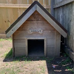 Dog House 