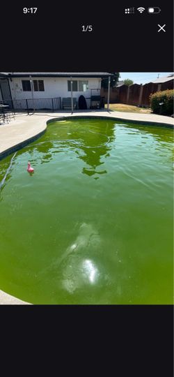 Pool chemicals