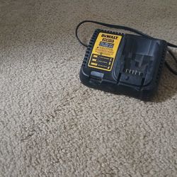 Original Dewalt Charger