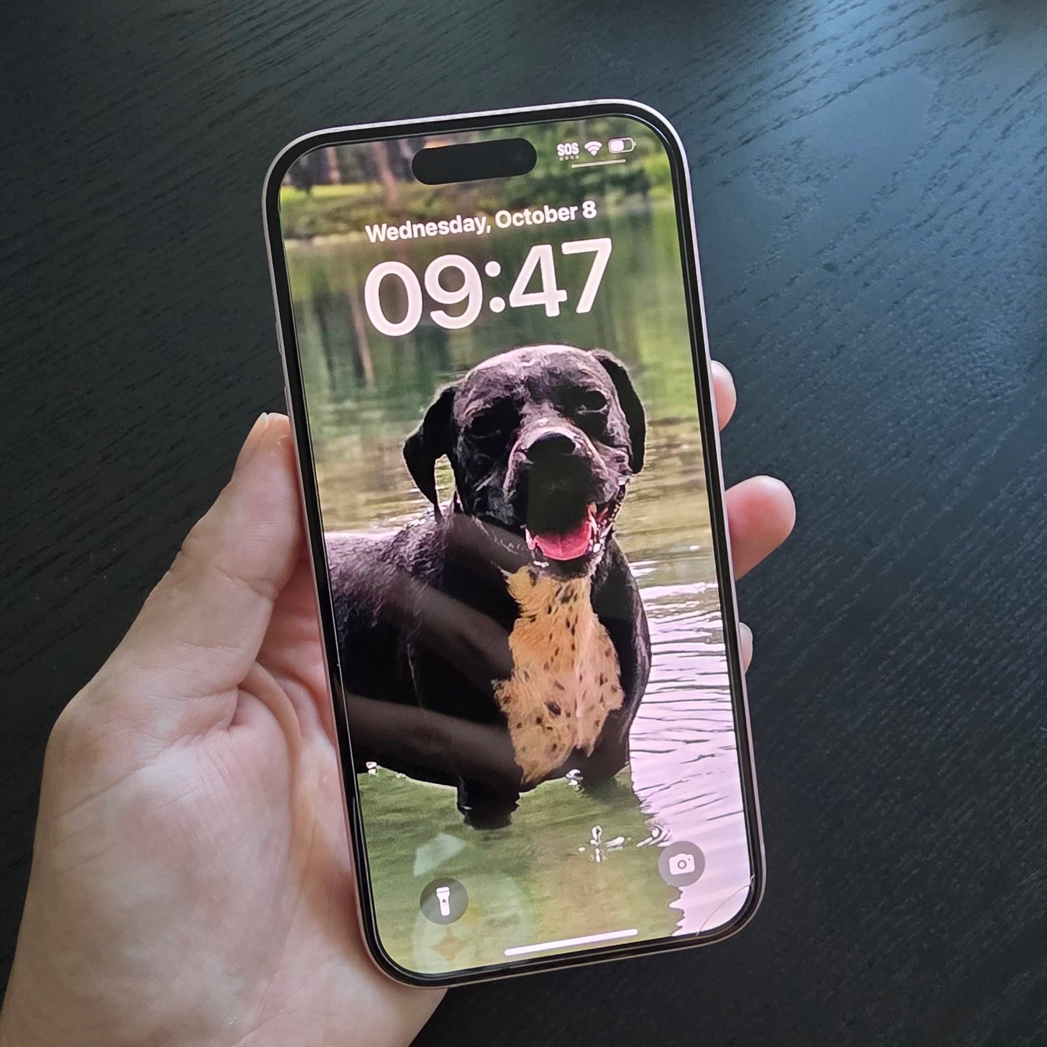 Pink iPhone 15 Unlocked 128gig