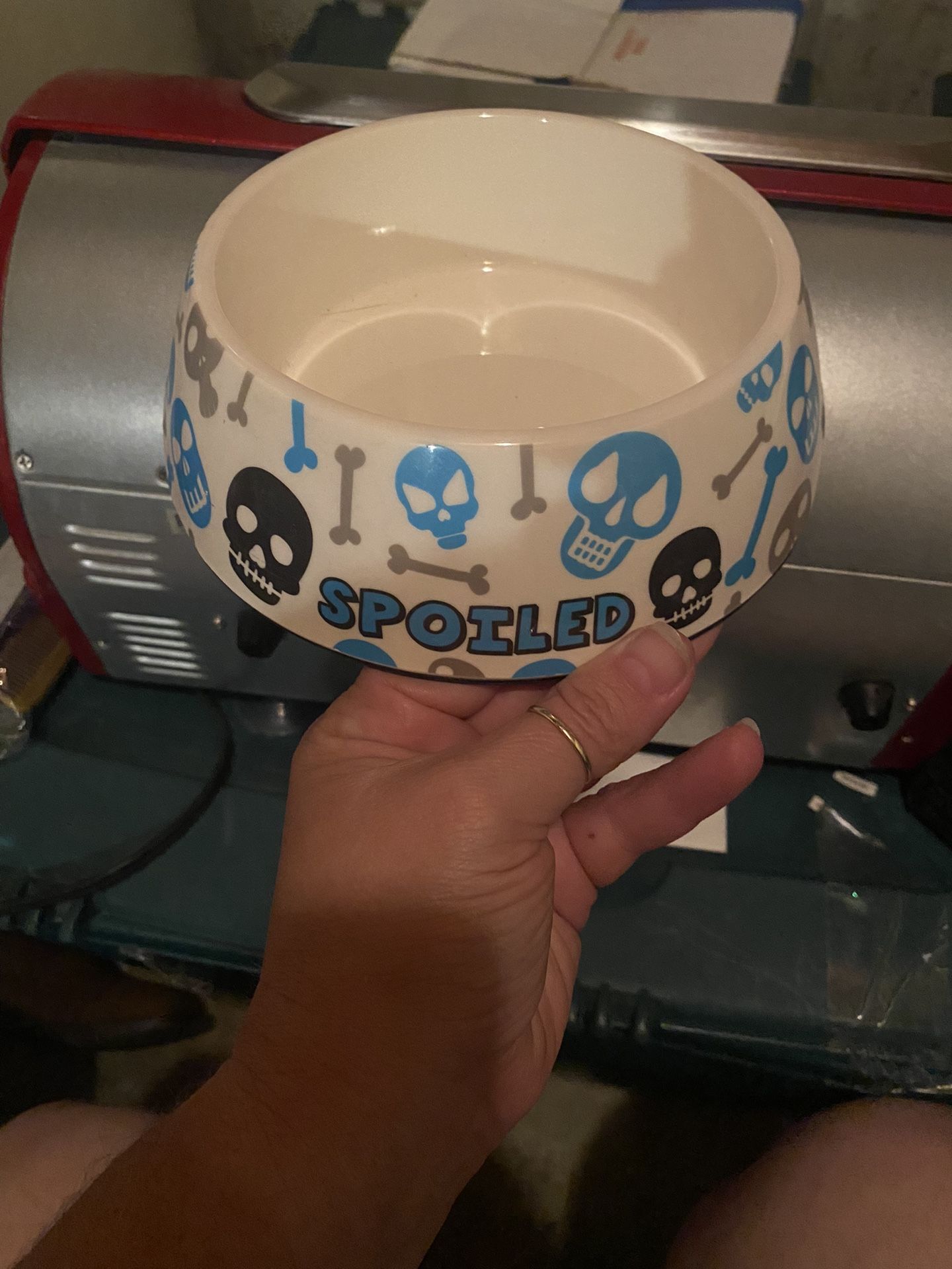 Doggy Bowl