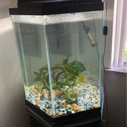 60 Gallon Fish Tank 