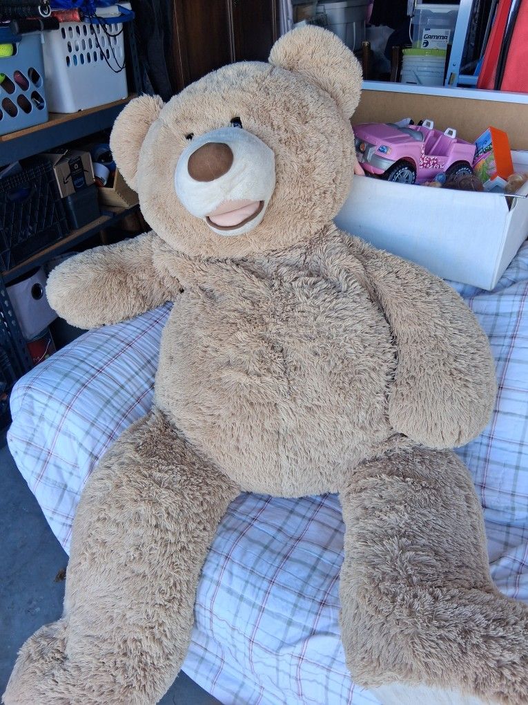 Huge Teddy Bear