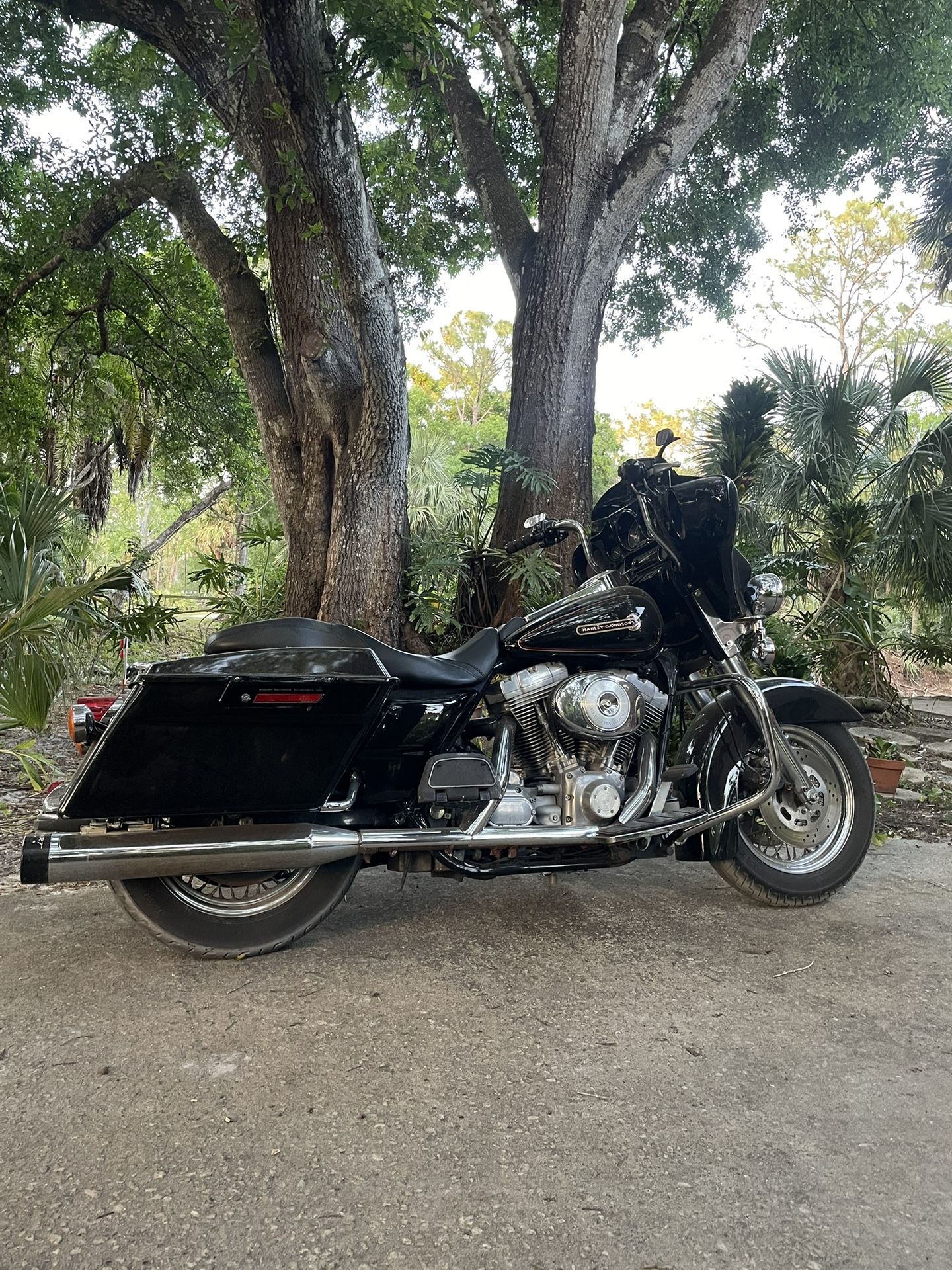 Harley Davidson Cash/trade.       