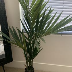 4ft. Indoor/Outdoor Decorative Green Palm Tree Plant with Pot