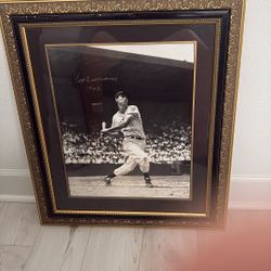 Ted Williams Signed Photo. 