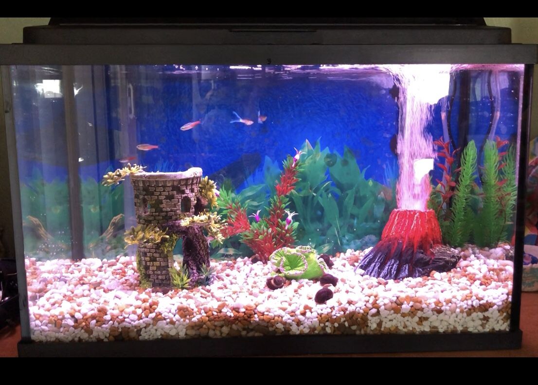 Complete Fish Tank Setup - Only Thing Missing Is The Fish