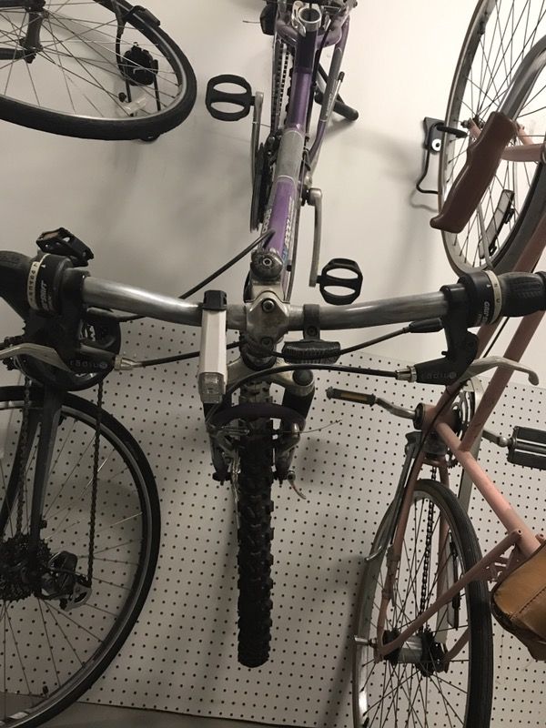 Purple Schwinn women's bike.