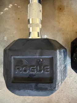 30 lbs DUMBBELLS (pair) - ROGUE