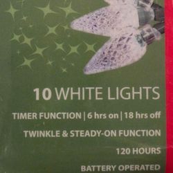 LED Mini String Lights with Timer