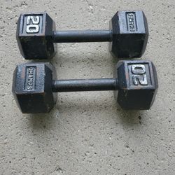 20 LB Dumbells
