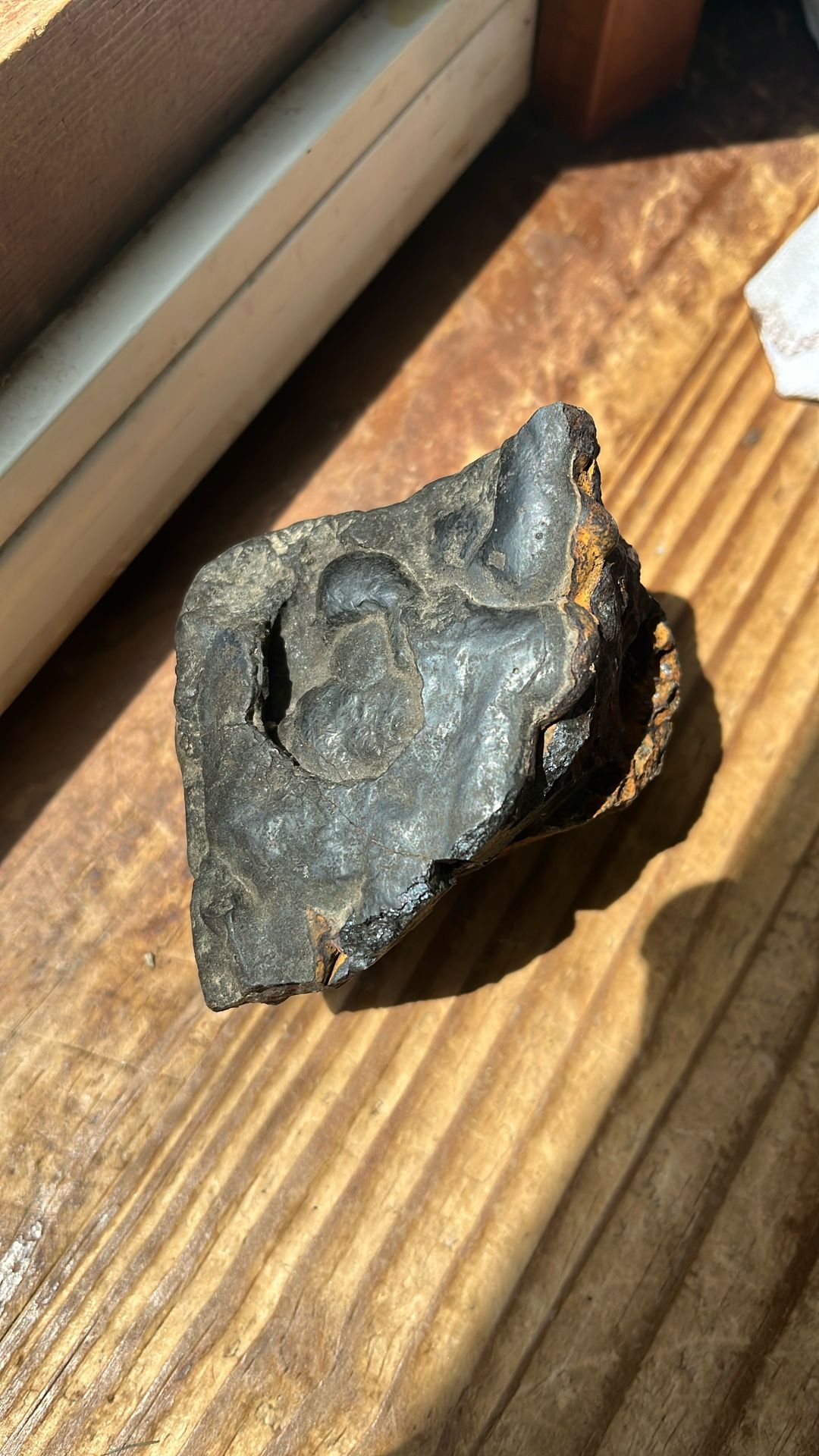Meteorite Specimen