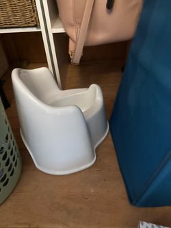 Training potty