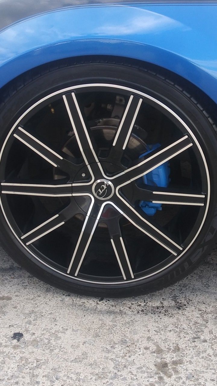 Calipers painting