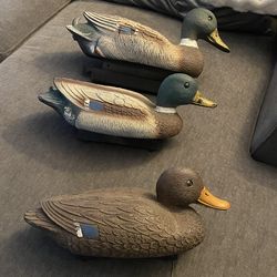 3 DUCK DECOYS