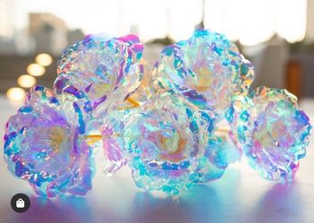24K Galaxy Rose