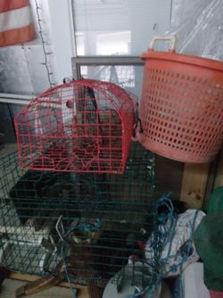 Crab Pots And Basket