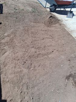 Free soil  removing all grass