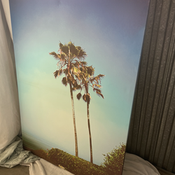 Oversized Palm Tree Wall Art – California Coastal Photography