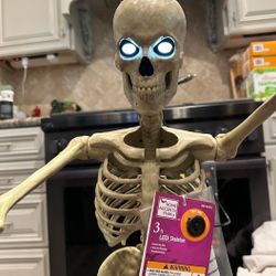 Mini Skelly Skeleton Brand New Halloween Decoration
