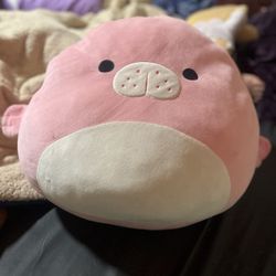 Squishmallow 