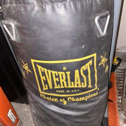 Punching Bag Used No Rips High Grade Everlast