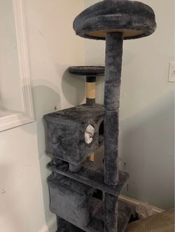 Cat Scratch Tree