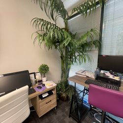 Tall Artificial Palm Tree  