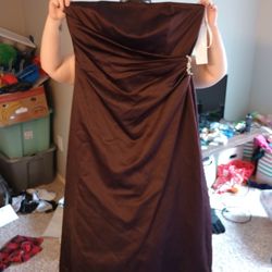 Size 16 Dress Brown