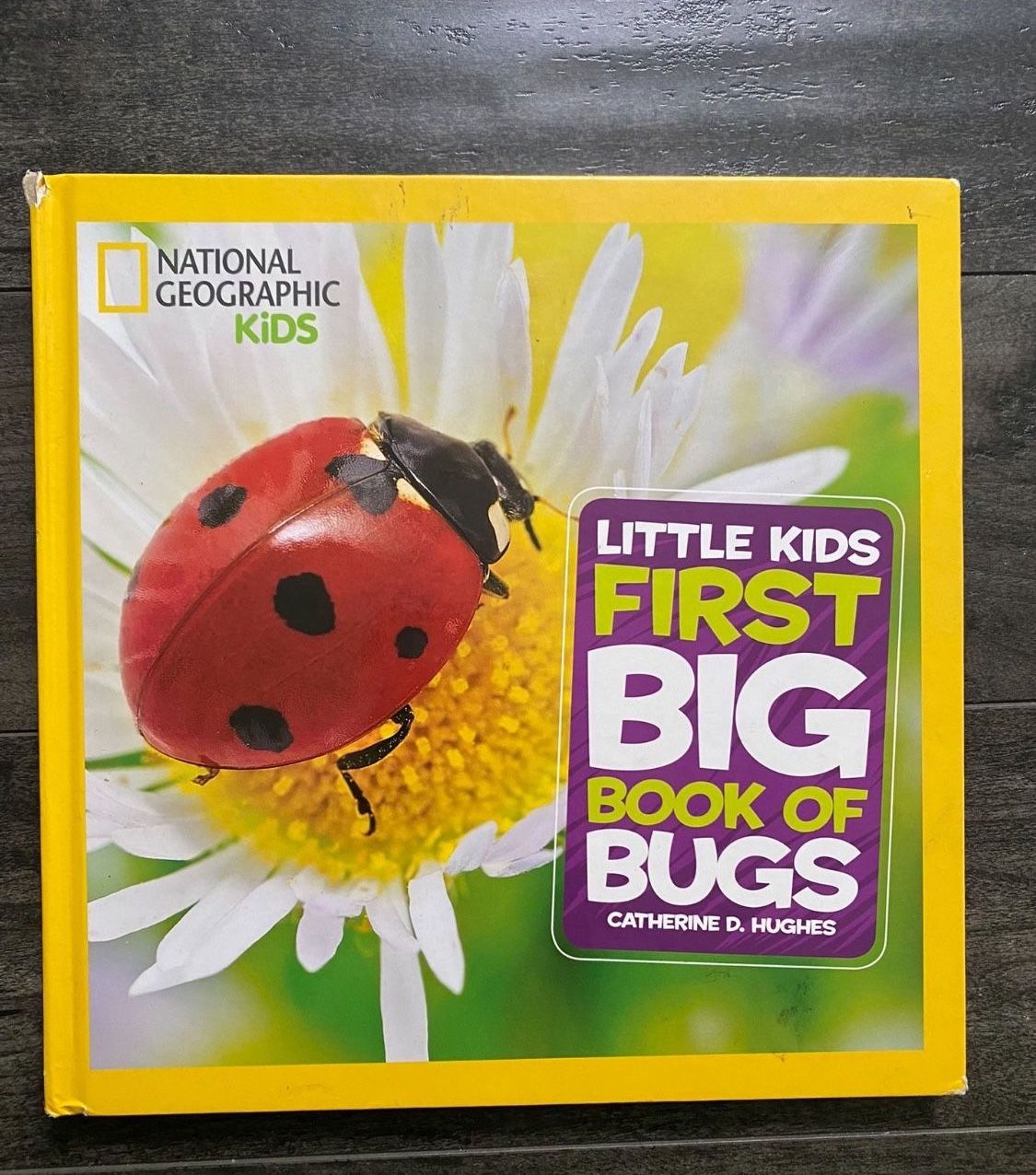 National Geographic Kids First Big Book Bugs Hardback Book $10