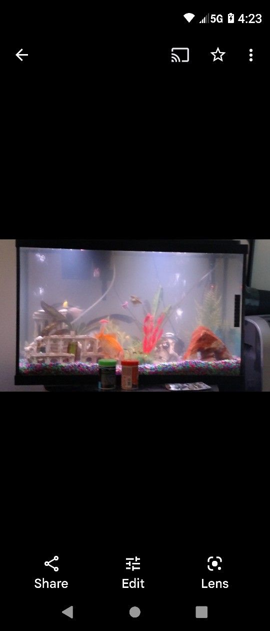 Fish Tank