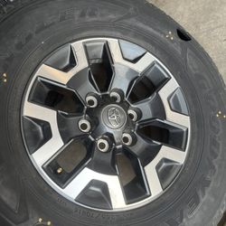 Tacoma rims 138 each rim