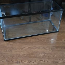 Fish Tank For Free