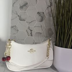 Inspired coach bag 