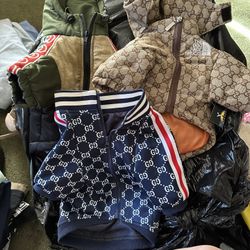 GG Designer Dog Jackets