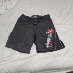 Hayabusa Fight Shorts Mma/bjj Size Medium