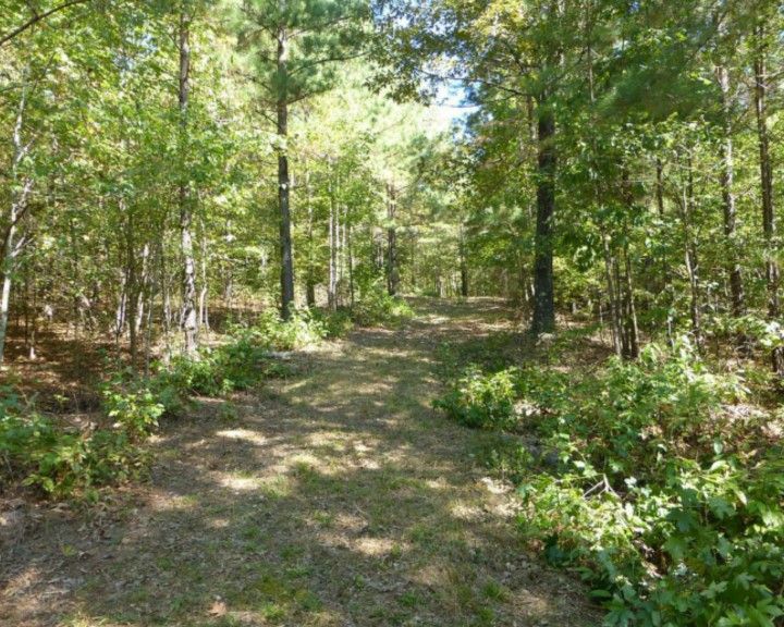 Tennessee 5 Acres For Sale